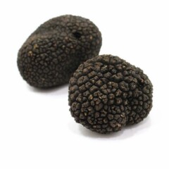 summer truffle new.jpg