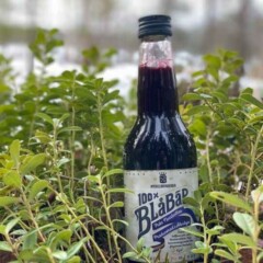 Blåbär 100%, 33cl