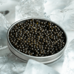 Swedish Black Caviar - Störrom